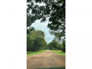 Casa en Barrio El Yerbal Residencial 40 X 40 casa el yerbal 4