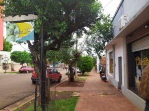 Local comercial · 300m² · 7 ambientes · 2 cocheras local apostoles 1