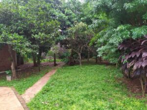 Local comercial · 300m² · 7 ambientes · 2 cocheras local apostoles 8