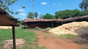 Vendo o Permuto Galpon con Terreno Fraccionado 4000 m² con Aserradero terreno 4000m2 candelaria 5