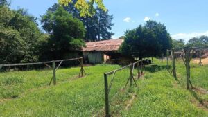 Vendo o Permuto Galpon con Terreno Fraccionado 4000 m² con Aserradero terreno 4000m2 candelaria 6