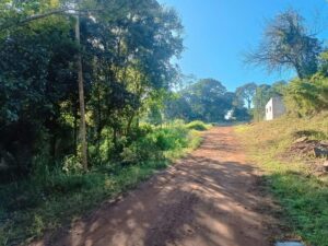 3 Terrenos Sobre Colectora Ruta 12 Km 12 Cercanos a Saladita terreno garupa 2