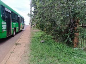 3 Terrenos Sobre Colectora Ruta 12 Km 12 Cercanos a Saladita terreno garupa 5