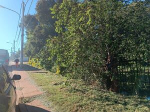 3 Terrenos Sobre Colectora Ruta 12 Km 12 Cercanos a Saladita terreno garupa 7