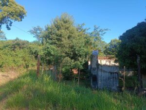 3 Terrenos Sobre Colectora Ruta 12 Km 12 Cercanos a Saladita terreno garupa 8