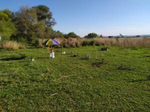 6ab412b3 7cdc 427b 84e6 a864a676ed92