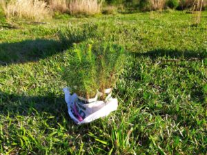 94bce6d1 3fb2 4dcb bdc0 a7df1efac838